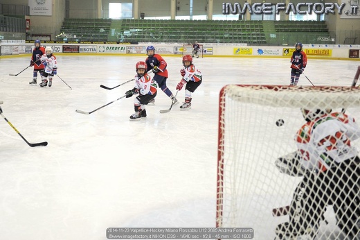 2014-11-23 Valpellice-Hockey Milano Rossoblu U12 2685 Andrea Fornasetti